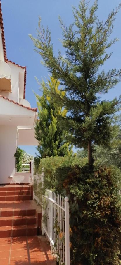Ευχάριστη Βίλα Στη Χαλκίδα Στην Περιοχή "Αλυκές" Eksteriør bilde